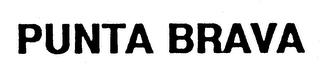 PUNTA BRAVA logo