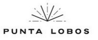 PUNTA LOBOS logo