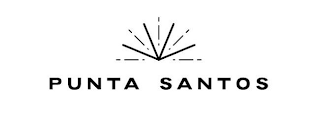 PUNTA SANTOS logo