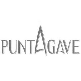 PUNTAGAVE logo