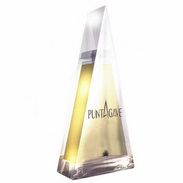 PUNTAGAVE logo