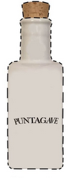 PUNTAGAVE logo