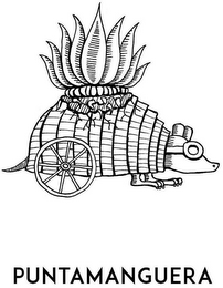 PUNTAMANGUERA logo