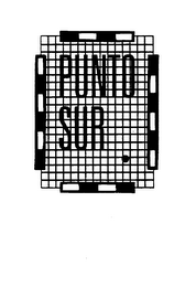 PUNTO SUR logo