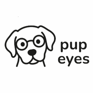 PUP EYES logo