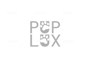 PUP LUX logo