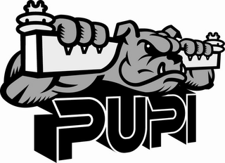 PUPI logo