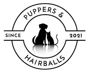 PUPPERS & HAIRBALLS SINCE 2021 logo