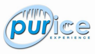 PUR ICE EXPERIENCE logo