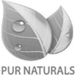 PUR NATURALS logo