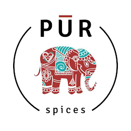 PUR  SPICES logo