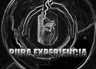 PURA EXPERIENCIA logo