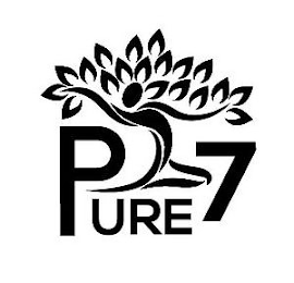 PURE 7 logo