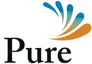 PURE logo