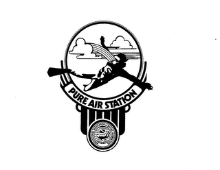 PURE AIR STATION PROFESSIONAL ASSOCIATION OF DIVING INSTRUCTORS logo