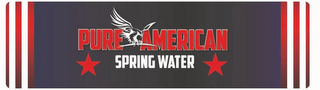 PURE AMERICAN SPRING WATER logo