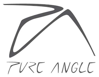 PURE ANGLE logo