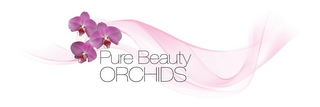 PURE BEAUTY ORCHIDS logo