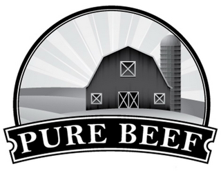 PURE BEEF logo