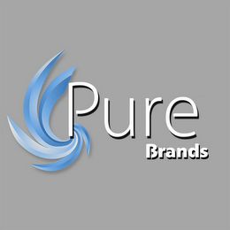 PURE BRANDS logo