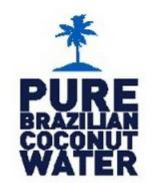 PURE BRAZILIAN COCONUT WATER logo