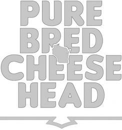 PURE BRED CHEESE HEAD logo