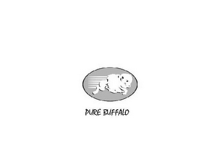 PURE BUFFALO logo