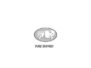 PURE BUFFALO logo