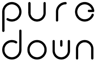 PURE DOWN logo