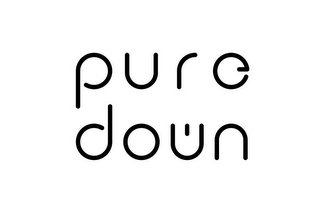 PURE DOWN logo
