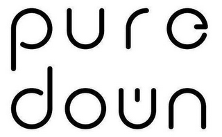 PURE DOWN logo