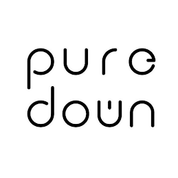 PURE DOWN logo