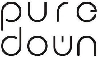 PURE DOWN logo