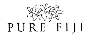 PURE FIJI logo