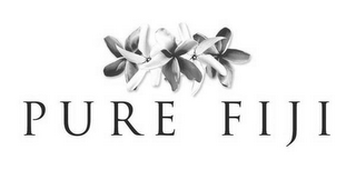 PURE FIJI logo