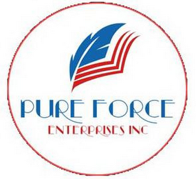 PURE FORCE ENTERPRISES INC logo