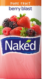 PURE FRUIT BERRY BLAST NAKED logo