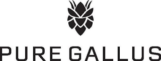 PURE GALLUS logo