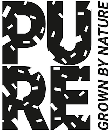 PURE GROWN BY NATURE logo
