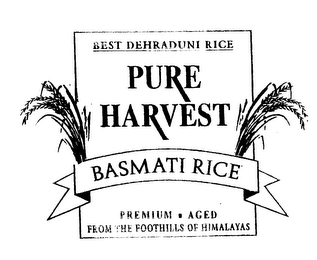 PURE HARVEST BASMATI RICE BEST DEHRADUNI RICE PREMIUM AGED FROM THE FOOTHILLS OF HIMALAYAS logo