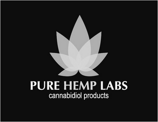 PURE HEMP LABS CANNABIDIOL PRODUCTS logo