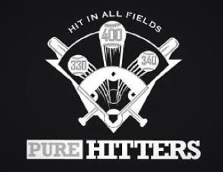 PURE HITTERS HIT IN ALL FIELDS 330 340 400 logo