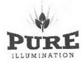 PURE ILLUMINATION logo