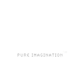 PURE IMAGINATION logo