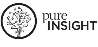 PURE INSIGHT logo