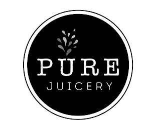 PURE JUICERY logo