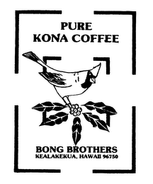 PURE KONA COFFEE BONG BROTHERS KEALAKEKUA, HAWAII 96750 logo