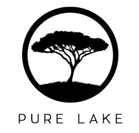 PURE LAKE logo