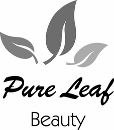 PURE LEAF BEAUTY logo