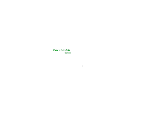 PURE LIGHT CONES logo